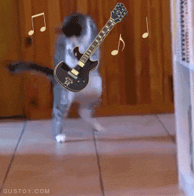 Cat rocks out with a guitar