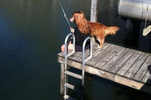 dog with fabulous hair fishing