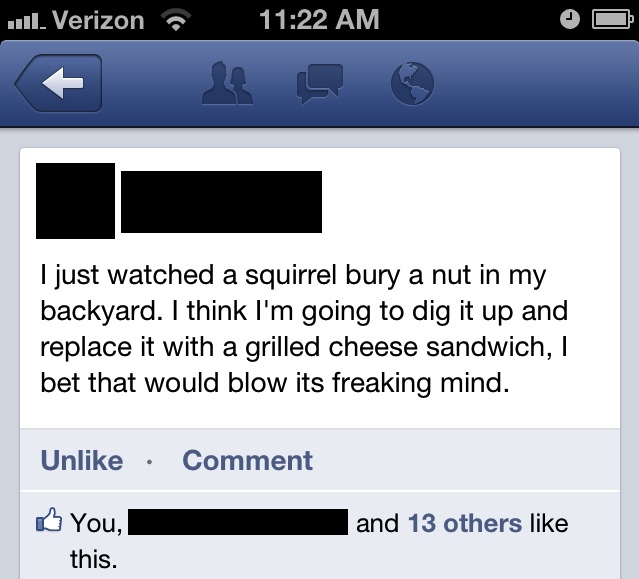 facebook blowing a squirrel's mind by changing its nut with a grilled cheese sandwich