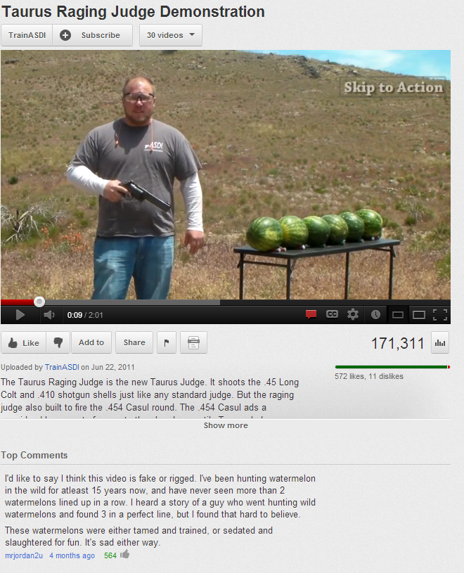 YouTube comment on a watermelon shooting video