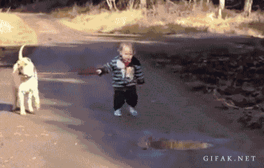 kid walking dog plays in a puddle