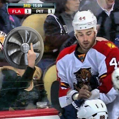 sports fan flips off a hockey player