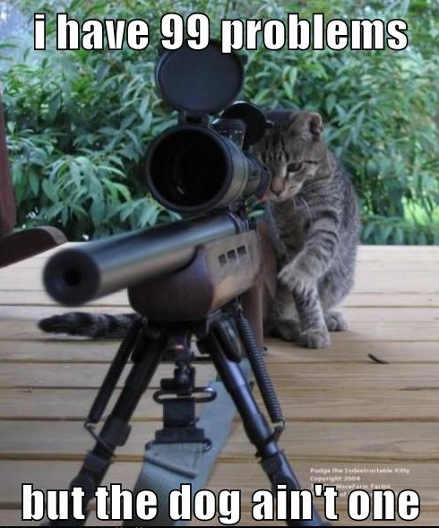 A cat mans a sniper rifle and aims it at the dog. The cat has 99 problems but the dog aint one.