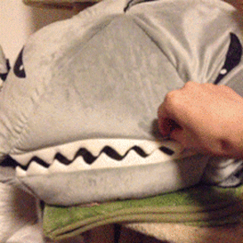 A cat in a cloth shark is scared and has its mouth open as the shark bites down on it.