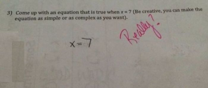 A teacher asks a question that says come up with an equation that is true when x=7 on a test and the student answers x=7.